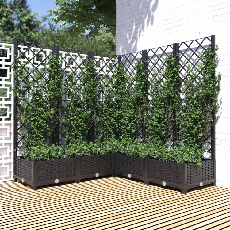 Fioriera da Giardino con Graticcio Nero 120x120x121,5 cm in PP 318276