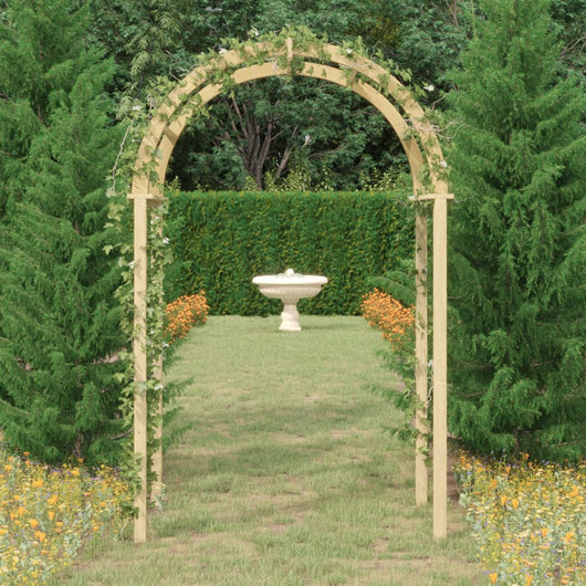 Arco da Giardino 141x97x243 cm in Legno di Pino Impregnato 318419