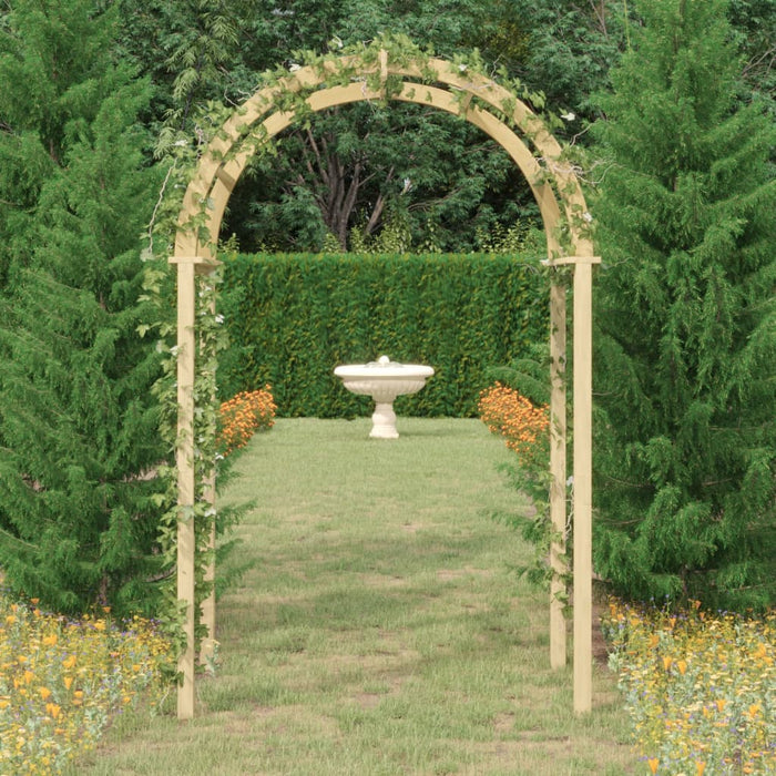 Arco da Giardino 141x97x243 cm in Legno di Pino Impregnato 318419