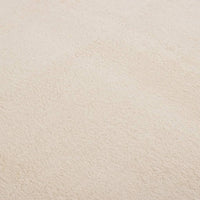 Tappeto Lavabile Soffice Pelo Corto 200x290cm Antiscivolo Beige 342203