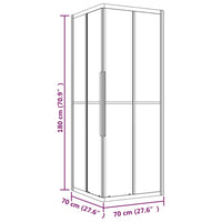 Cabina Doccia ESG Smerigliato 70x70x180 cm