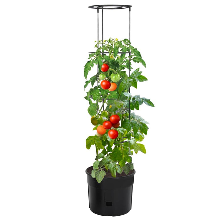 Vaso a Torre per Pomodori Antracite Ø39x150 cm Polipropilene cod mxl 67126