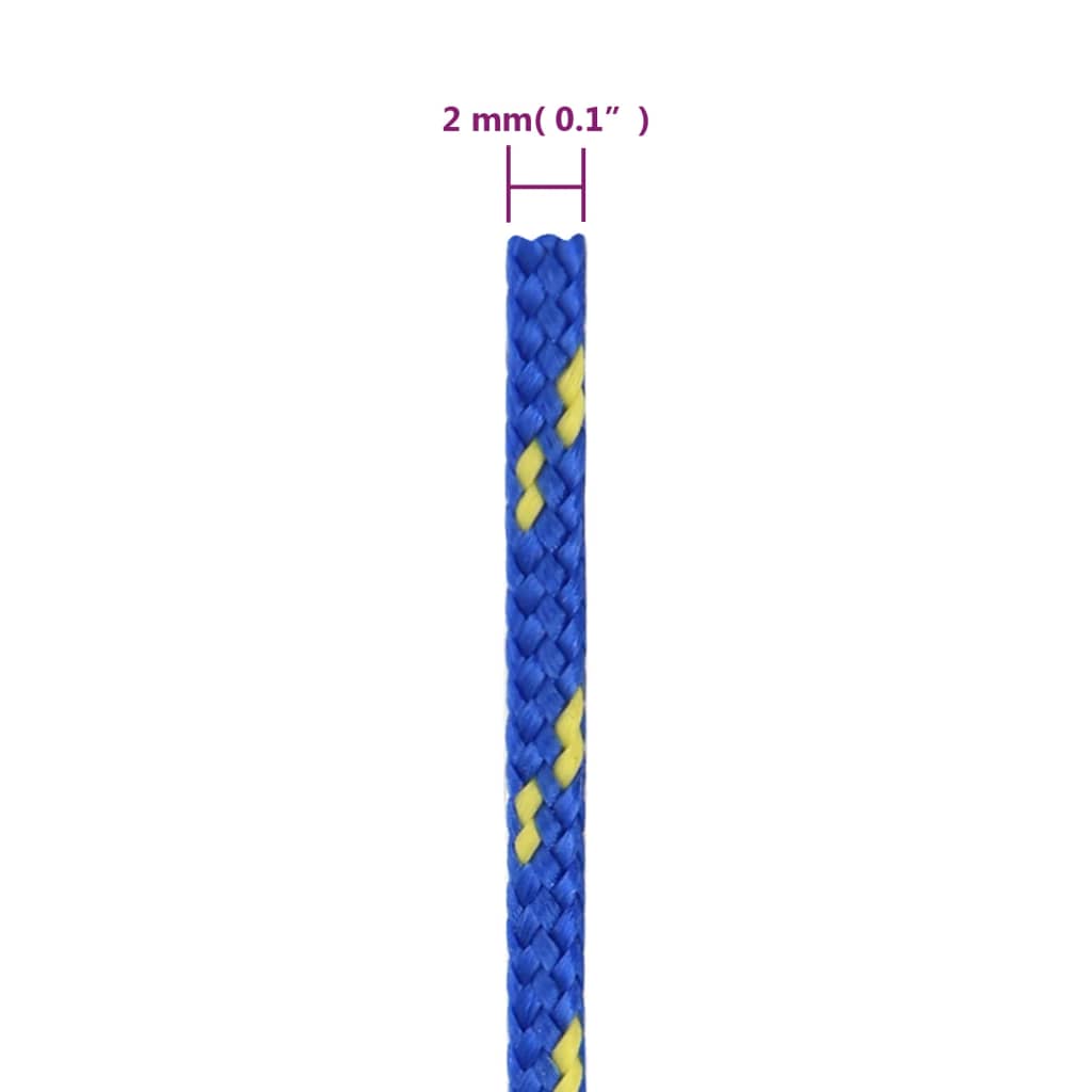 Corda per barca Blu 2 mm 25 m in Polipropilene 152423