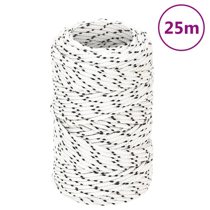 Corda Intrecciata per Barca Bianca 2mm x 25m Poliestere 152741