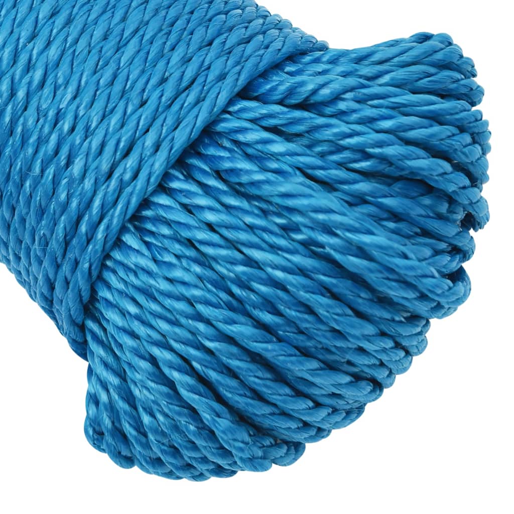 Corda da Lavoro Blu 3 mm 50 m in Polipropilene 152958