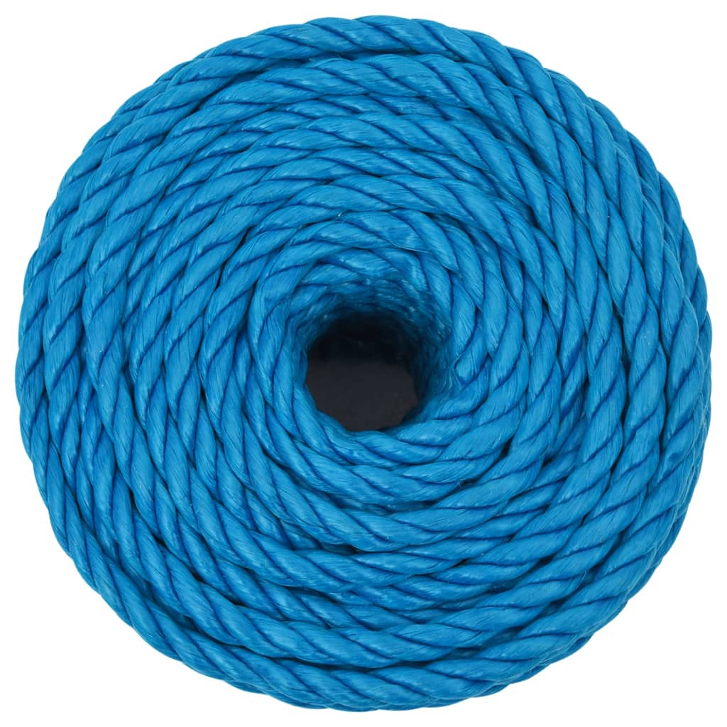 Corda da Lavoro Blu 10 mm 25 m in Polipropilene