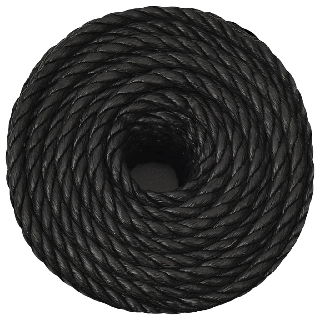 Corda da Lavoro Nera 10 mm 250 m in Polipropilene cod mxl 61596