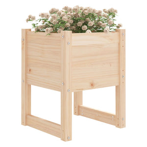 Fioriere 2 pz 40x40x52,5 cm in Legno Massello di Pino 822108