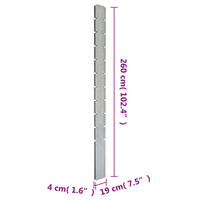 Pali per Recinzione da Giardino 40 pz Argento 260 cm in Acciaio 3196225