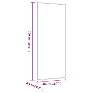 Specchio da Parete 40x100 cm Vetro Rettangolare 350448