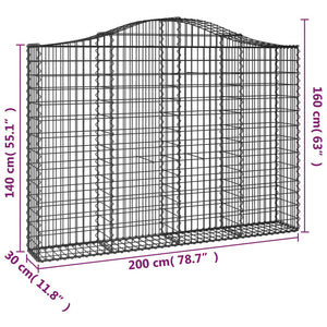 Cesti Gabbioni ad Arco 2 pz 200x30x140/160 cm Ferro Zincato 3145472