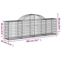 Cesti Gabbioni ad Arco 20 pz 200x30x60/80 cm Ferro Zincato 3146083