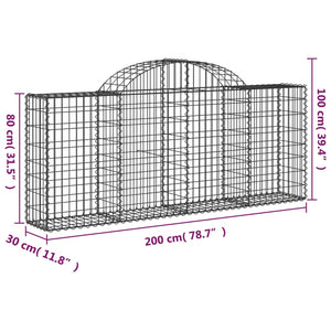 Cesti Gabbioni ad Arco 2 pz 200x30x80/100 cm Ferro Zincato 3146089