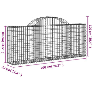 Cesti Gabbioni ad Arco 10 pz 200x30x80/100 cm Ferro Zincato 3146097