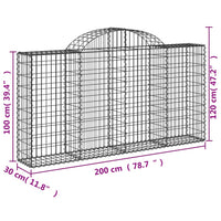 Cesti Gabbioni ad Arco 2 pz 200x30x100/120 cm Ferro Zincato 3146110