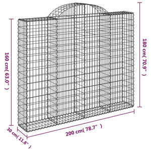 Cesti Gabbioni ad Arco 12 pz 200x30x160/180 cm Ferro Zincato 3146183