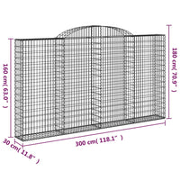 Cesti Gabbioni ad Arco 2 pz 300x30x160/180 cm Ferro Zincato 3146575