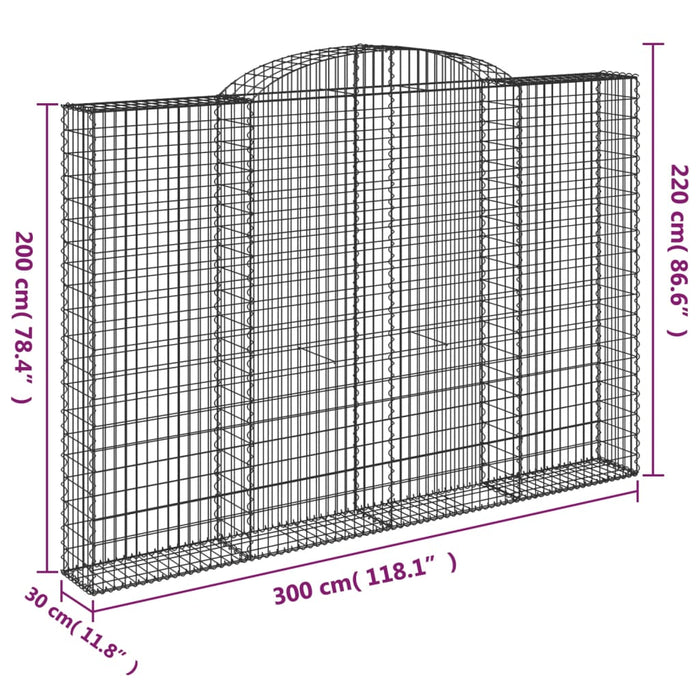 Cesti Gabbioni ad Arco 2 pz 300x30x200/220 cm Ferro Zincato 3146611