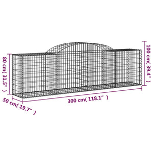 Cesti Gabbioni ad Arco 12 pz 300x50x80/100 cm Ferro Zincato 3146693