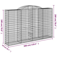 Cesti Gabbioni ad Arco 2 pz 300x50x180/200 cm Ferro Zincato 3146773