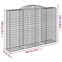 Cesti Gabbioni ad Arco 10 pz 300x50x200/220 cm Ferro Zincato 3146799