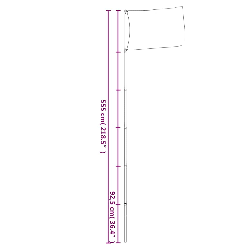 Asta Telescopica per Bandiere Argento 5,55 m in Alluminio 153563