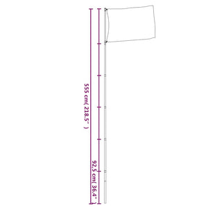 Asta Telescopica per Bandiere Argento 5,55 m in Alluminio 153563