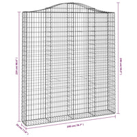 Cesto Gabbione ad Arco 200x30x220/240 cm Ferro Zincato 153391