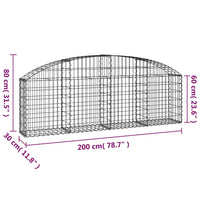 Cesto Gabbione ad Arco 200x30x60/80 cm Ferro Zincato 153463