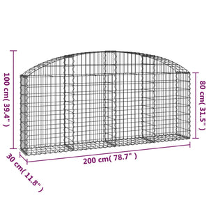 Cesto Gabbione ad Arco 200x30x80/100 cm Ferro Zincato 153464