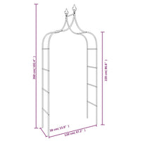 Archi da Giardino 2 pz Neri 120x38x260 cm Acciaio 319349