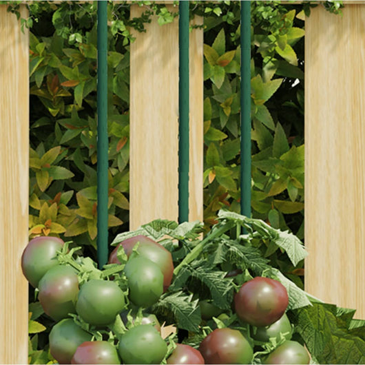 Supporti per Piante da Giardino 30 pz Verde 60 cm Acciaio 319367