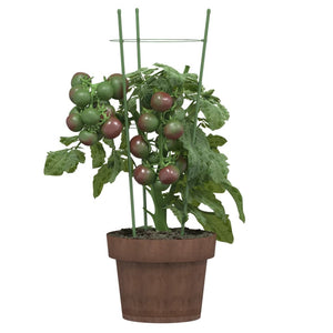 Supporti Piante da Giardino con 3 Anelli 5pz Verde 45cm Acciaio 319372