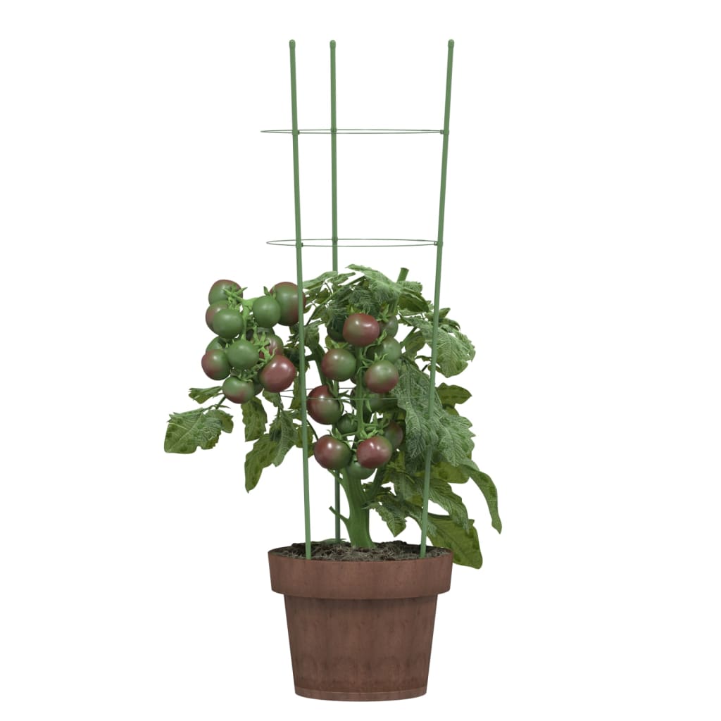 Supporti Piante da Giardino con 3 Anelli 5pz Verde 60cm Acciaio 319373