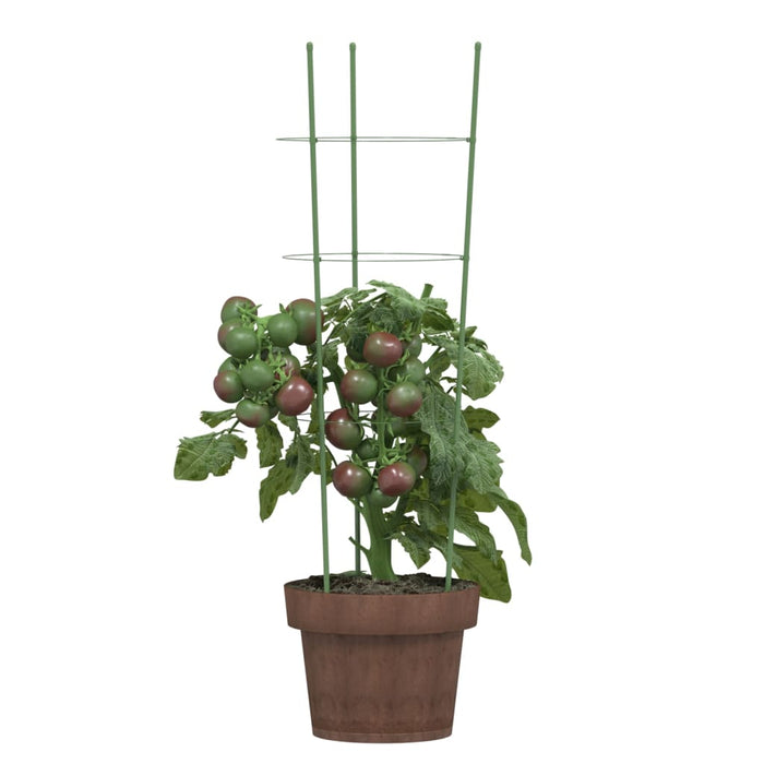 Supporti Piante da Giardino con 3 Anelli 5pz Verde 60cm Acciaiocod mxl 93686