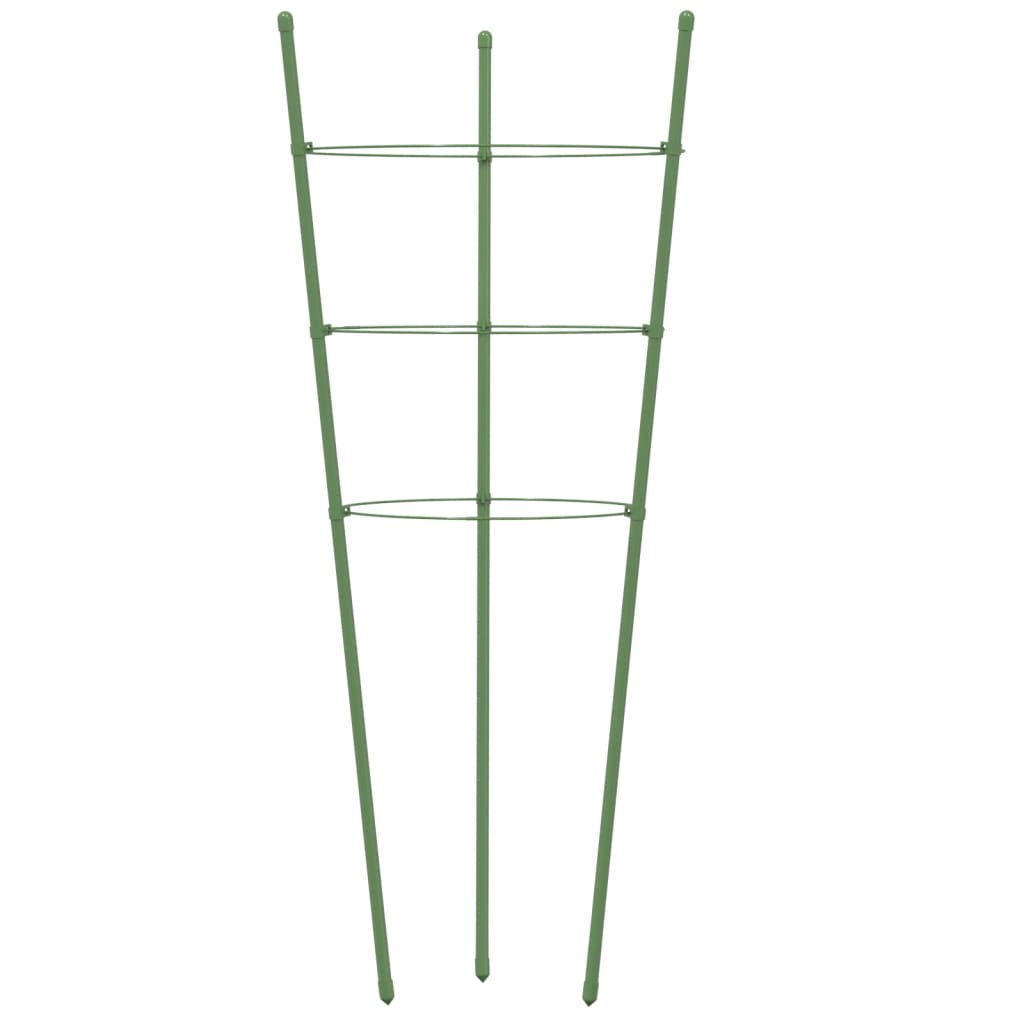 Supporti Piante da Giardino con 3 Anelli 5pz Verde 60cm Acciaio 319373