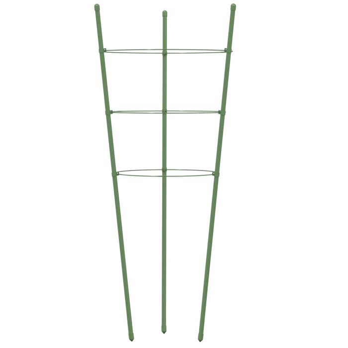 Supporti Piante da Giardino con 3 Anelli 5pz Verde 60cm Acciaio 319373