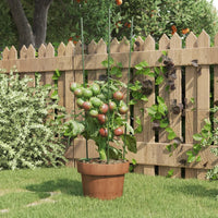 Supporti Piante da Giardino con 3 Anelli 5pz Verde 60cm Acciaio 319373