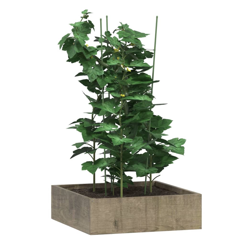 Supporti Piante da Giardino con 3 Anelli 5pz Verde 75cm Acciaio 319374