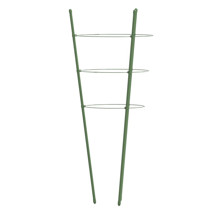 Supporti Piante da Giardino con 3 Anelli 5pz Verde 75cm Acciaio 319374