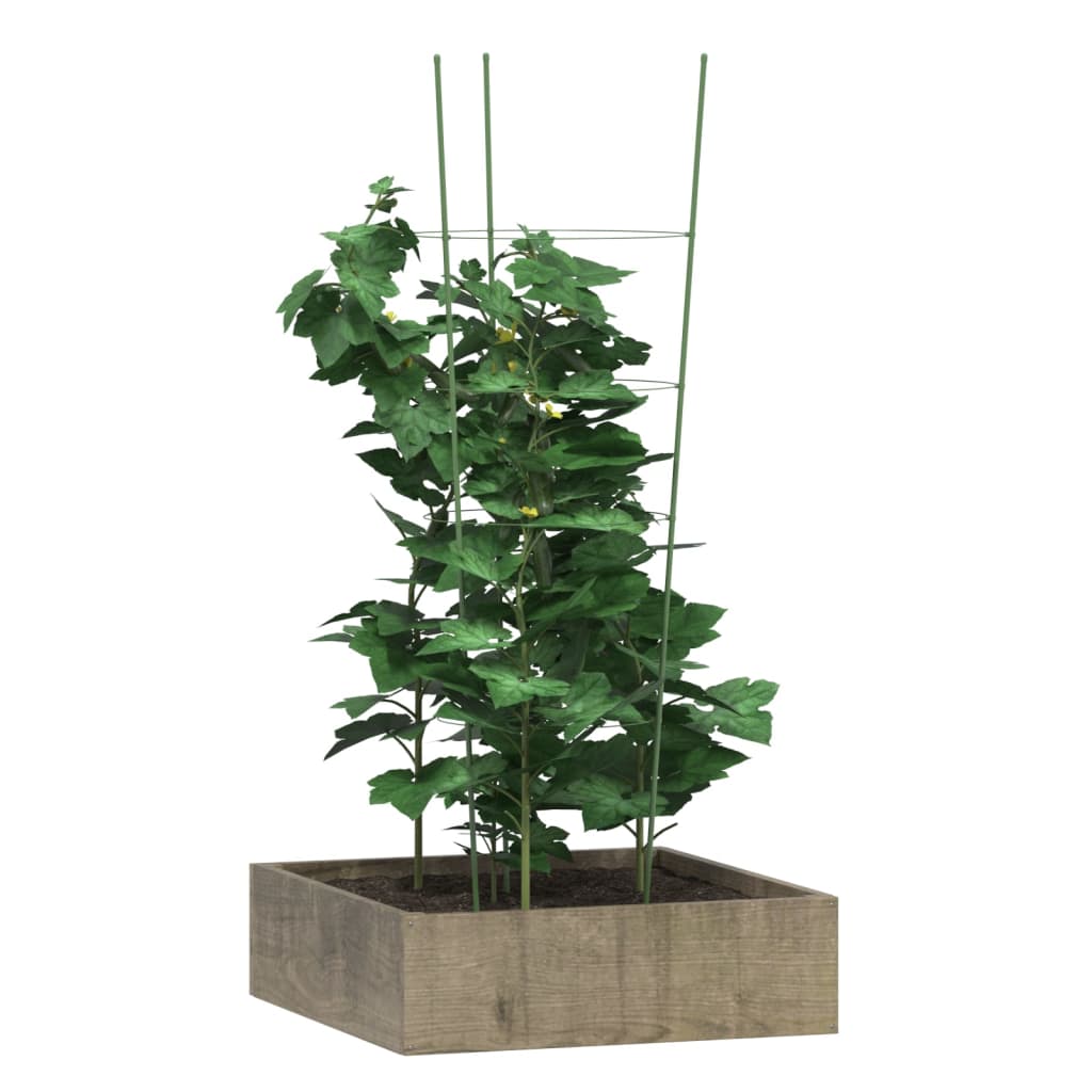 Supporti Piante da Giardino con 4 Anelli 5pz Verde 90cm Acciaio 319375