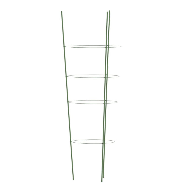 Supporti Piante da Giardino con 4 Anelli 5pz Verde 90cm Acciaio 319375