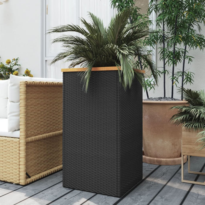 Fioriera Nera 40x40x80 cm in Polyrattan 319415