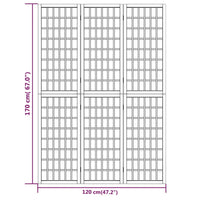 Divisorio Pieghevole 3 Pannelli Stile Giapponese 120x170 Bianco 352087