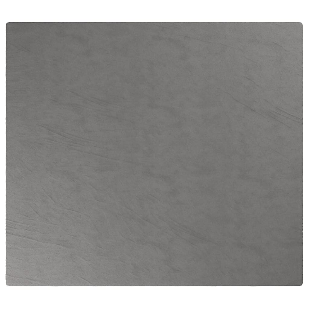 Coperta Ponderata con Copertura Grigio 200x220 cm 13 kg Tessutocod mxl 69547