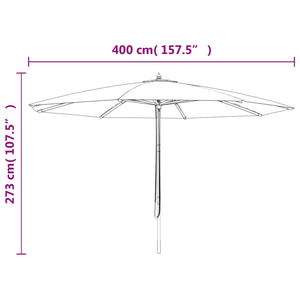 Ombrellone da Giardino con Palo in Legno Terracotta 400x273 cm 363180