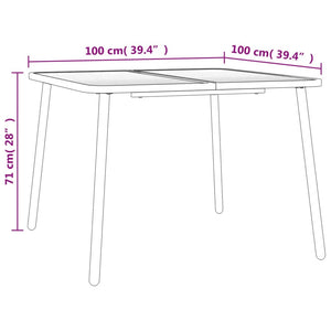 Tavolo da Giardino Antracite 100x100x71 cm Acciaio 362738