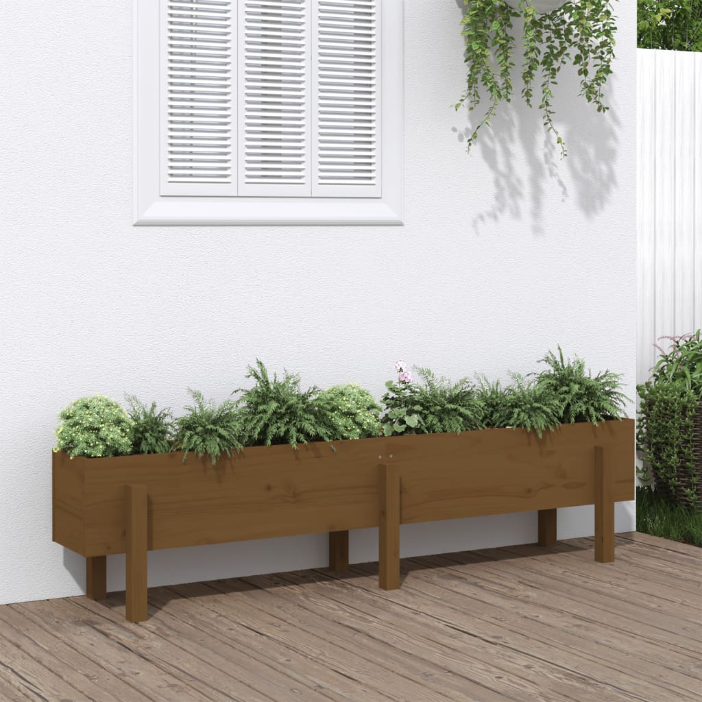 Fioriera Rialzata da Giardino Miele 160x30x38 cm Massello Pinocod mxl 104636