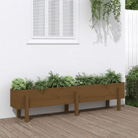 Fioriera Rialzata da Giardino Miele 160x30x38 cm Massello Pino 825194