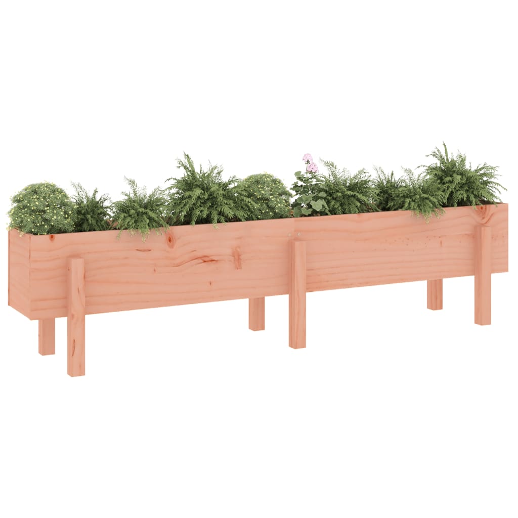 Fioriera Rialzata Giardino 160x30x38 cm Legno Massello Douglas 825196